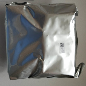 Epson S30675 Printhead