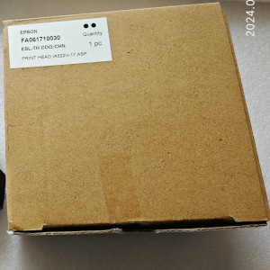 Epson S30670 Printhead